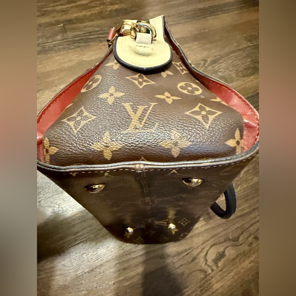 LOUIS VUITTON Monogram Canvas And Tricolor Leather Tuileries NM Bag - Picture 7 of 13